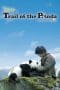 Nonton film Trail of the Panda (2009) terbaru di Dutamovie21
