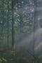 Nonton film Jirisan Season 1 Episode 14 terbaru di Dutamovie21 Nonton film Jirisan Season 1 Episode 14 terbaru di Dutamovie21