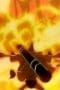 Nonton film One Piece Season 10 Episode 346 terbaru di Dutamovie21