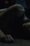 Nonton film Servant Season 2 Episode 7 terbaru di Dutamovie21 Nonton film Servant Season 2 Episode 7 terbaru di Dutamovie21