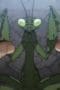 Nonton film Baki Hanma Season 1 Episode 2 terbaru di Dutamovie21