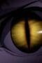 Nonton film Claymore Season 1 Episode 4 terbaru di Dutamovie21