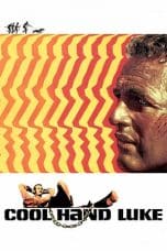 Nonton film Cool Hand Luke (1967) terbaru di Dutamovie21 Nonton film Cool Hand Luke (1967) terbaru di Dutamovie21