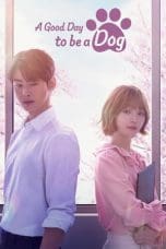 Nonton film A Good Day to be a Dog (2023) terbaru di Dutamovie21 Nonton film A Good Day to be a Dog (2023) terbaru di Dutamovie21